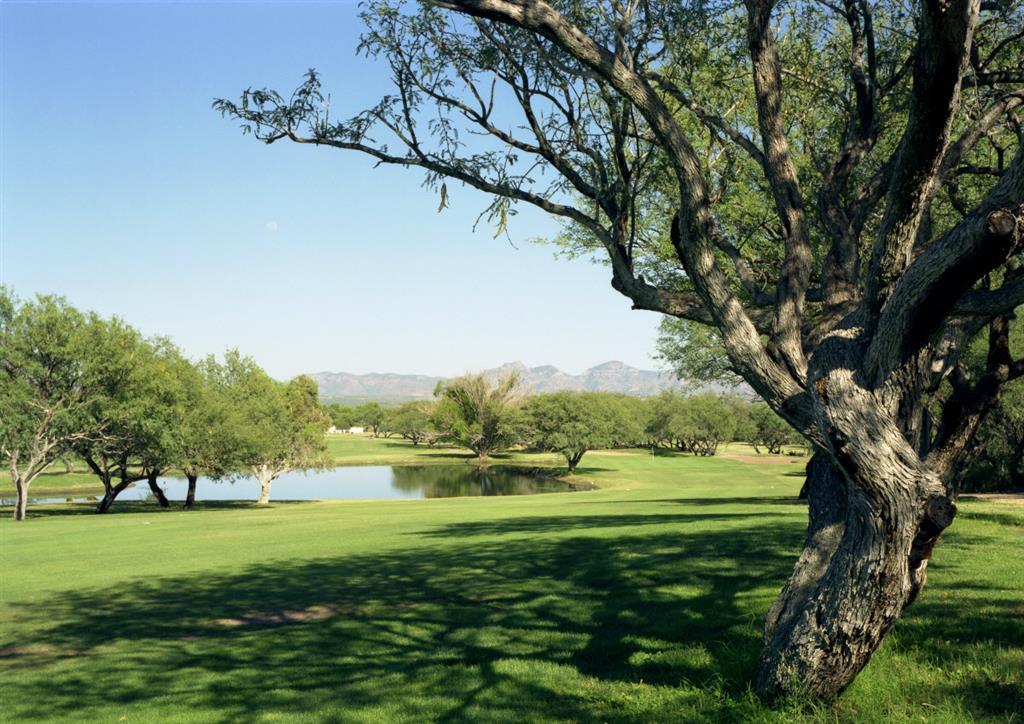 Esplendor Resort At Rio Rico Facilidades foto